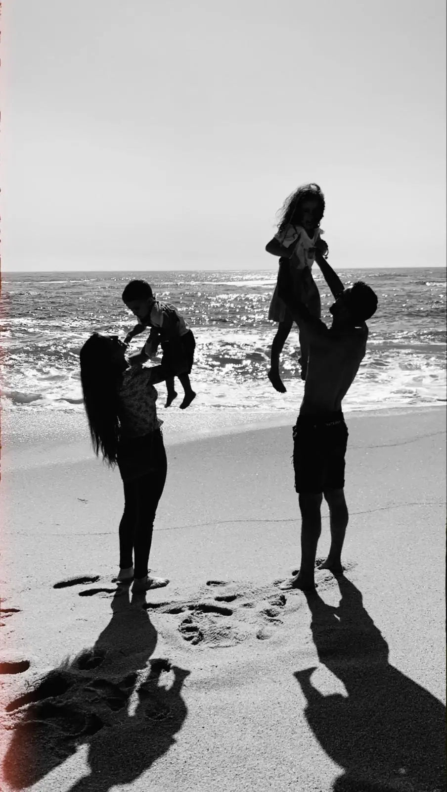 Family Nisiowelt